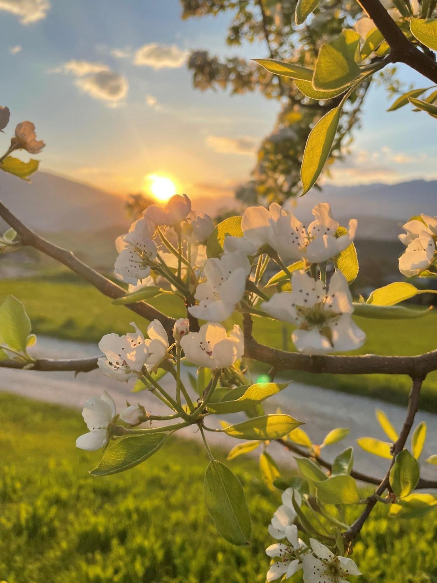 Beikircherhof 산로렌조디세바토 외부 사진